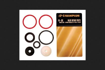 Picture of Champion Spark Plugs RK-30C VALVE REBUILD KIT 3/4" (EA)