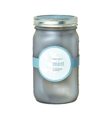 Picture of MODERN SPROUT LLC MS-GJ-1021 GROW KIT MINT (EA)