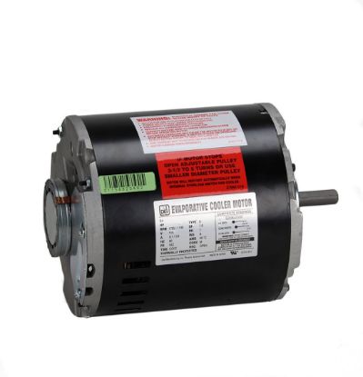 Picture of DIAL INDUSTRIES INC 2204 EVAPRT COOLER MOTOR 115V (EA)