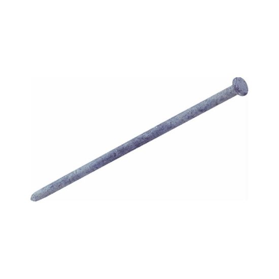 Picture of Grip On 10HGSPK NAIL SPK HDG 10" 50# (EA)
