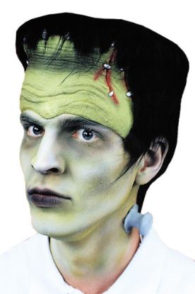 Picture of Morris Costumes TA20 MONSTER HDPC HAIR AND BOLTS (EA)