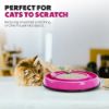 Picture of Spot 52020 ROCKN' CAT SCRATCHER 10" (EA)