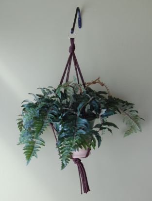 Picture of Primitive Planters 2169 PLANT HANGER ASST 24PK (PK-24-EA)