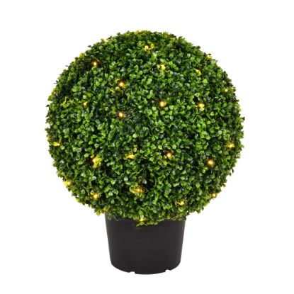 Picture of Vickerman TP171320LED 20" Boxwood Ball in Pot UV 70WW LED (EA)