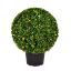 Picture of Vickerman TP171320LED 20" Boxwood Ball in Pot UV 70WW LED (EA)