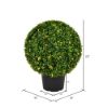 Picture of Vickerman TP171320LED 20" Boxwood Ball in Pot UV 70WW LED (EA)
