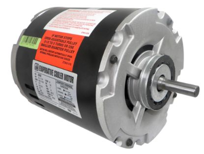 Picture of DIAL INDUSTRIES INC 2202 COOLER MOTOR 1/3HP 2SPD (EA)