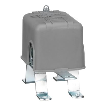 Picture of TES ELECTRIC US LLC 9036DG2 FLOAT PRESSURE SWITCH (EA)