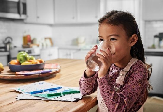 Picture of FRIGIDAIRE(R) ULTRAWF FRIDGE FILTER ULTRAWF (EA)