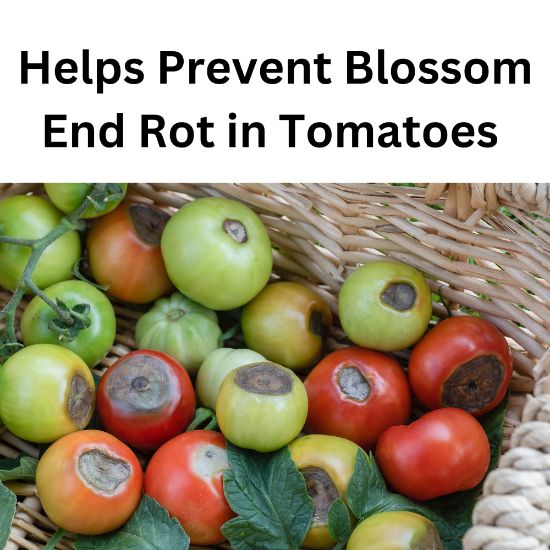 Picture of VOLUNTARY PURCHASING GROUPS INC 32128 PLANT FOOD GRANULE 3.25# (EA)