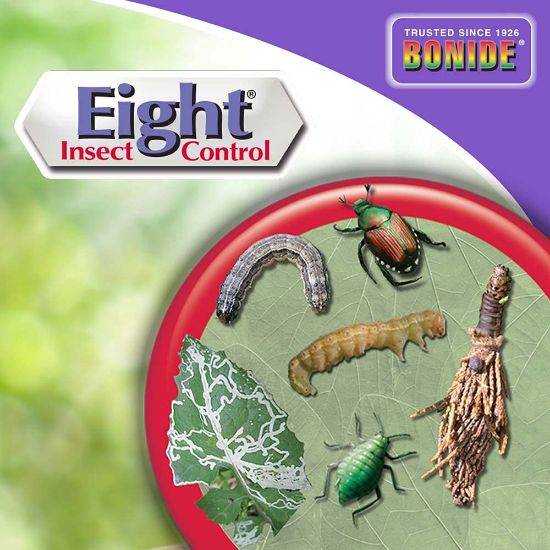 Picture of BONIDE PRODUCT 443 EIGHT VEG/FRUIT/FLWR32OZ (EA)