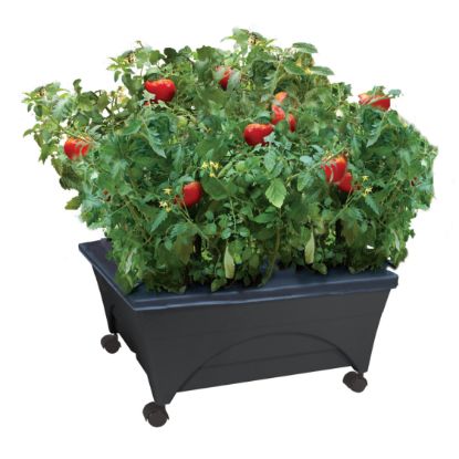 Picture of CITY PICKERS 2340DW GARDEN BED RSN CHRCL 11" (EA)