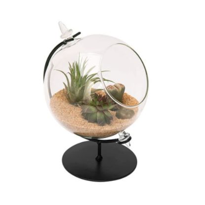 Picture of PANACEA PRODUCTS 82149 TERRARIUM W/STAND 4.5"D (EA)