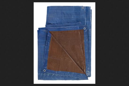 Picture of PROJEX PROJBB2436 POLY TARP 24X36 BLUE/BRN (EA)