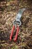 Picture of CORONA CLIPPER INC BP 3160 CORONA BY-PASS PRUNER 8" (EA)