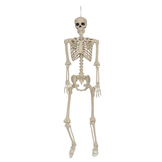 Picture of SEASONS USA W81034 POSE N STAY SKELETON 5' (EA)