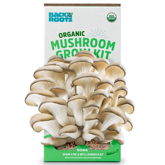 Picture of BACK TO THE ROOTS INC 11001 ORGANIC MUSHROOM FARM (EA)