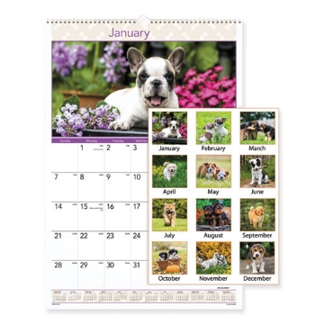 Picture of Puppies Monthly Wall Calendar, Puppies Photography, 15.5 x 22.75, White/Multicolor Sheets, 12-Month (Jan to Dec): 2024