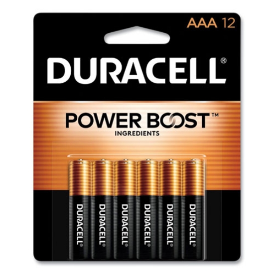 Picture of Power Boost CopperTop Alkaline Batteries, AAA, 12/Pack