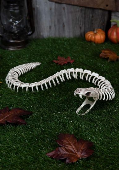 Picture of SEASONS USA W83108 SKELETON SNAKE 35" (EA)