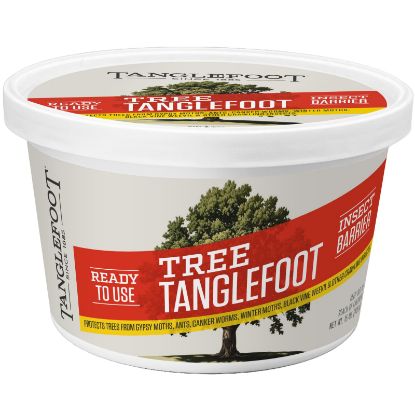 Picture of TANGLEFOOT TF10016 INSCT BRR CRWLNG 15OZ (EA)