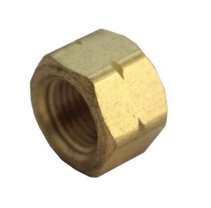 Picture of ACE TRADING - ZW 6JC120810701022 PIPE CAP 1/4" FPT (PK-5-EA)