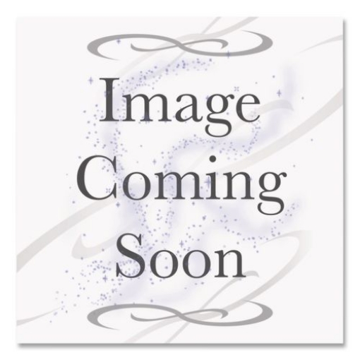 Picture of BELT,TRUSHOT,CLNER,10,BK