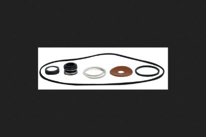 Picture of Parts 2 O RPK-LSS SEAL AND GASKET KIT (EA)