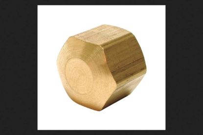 Picture of DIAL INDUSTRIES INC 9525 BRASS CAP 1/4" (EA)