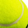 Picture of FRANKLIN 53969 TENNIS BALLS 3PK (EA)