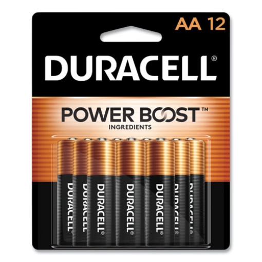 Picture of Power Boost CopperTop Alkaline AA Batteries, 12/Pack