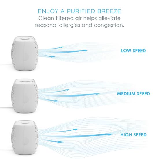 Picture of BEAR DOWN BRANDS LLC PECOMPAP PUREZONE AIR PURIFIER (EA)