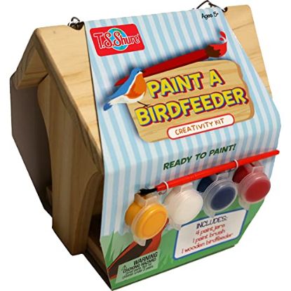 Picture of T.S. SHURE TS128 PAINT A BIRDHOUSE KIT (PK-6-EA)