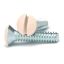 Picture of Amerelle PSIV WLPLT SCREWS#6 IVORY10PK (EA)