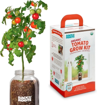 Picture of Back to the Roots Cherry Tomato Organic Windowsill Planter Kit - Grows Year Round, Includes Everything Needed For Planting