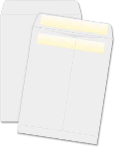 Picture of Business Source Press/Seal Catalog Envelopes