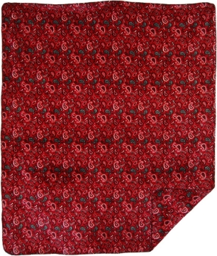 Picture of Denali Home Collection by Monterey Mills 60-Inch by 70-Inch Denali Double-Sided MicroPlush Throw, Forever Friends