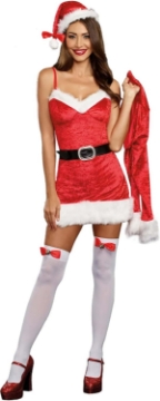 Picture of Dreamgirl Naughty Santa's Lady Adult Costume