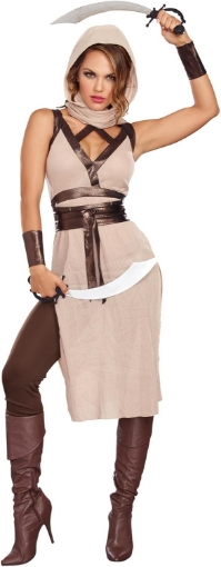 Picture of Dreamgirl Women's Desert Warrior Costume