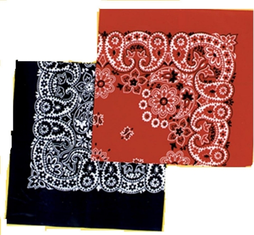 Picture of Franco American Novelty Company Costumes For All Occasions BB58BU Bandana Blue