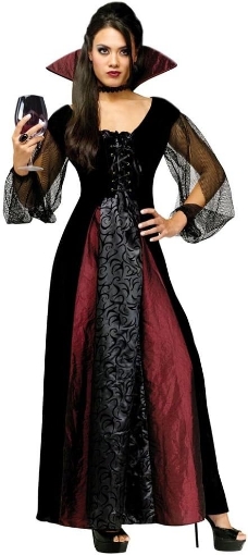Picture of Fun World Costumes Goth Maiden Vamp