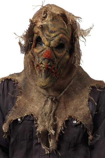 Picture of Fun World Scarecrow Mask Natural