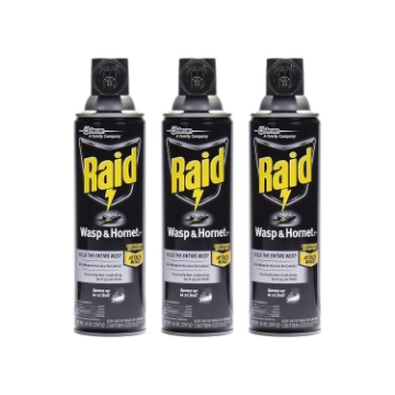 Picture of Raid Wasp & Hornet Killer Spray, 14 OZ (Pack - 3)