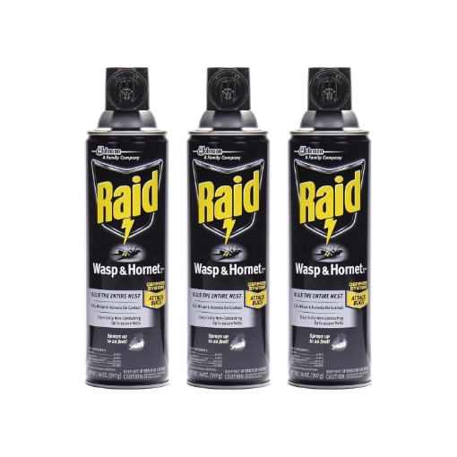 Picture of Raid Wasp & Hornet Killer Spray, 14 OZ (Pack - 3)