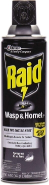 Picture of Raid Wasp And Hornet Killer