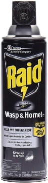 Picture of Raid Wasp Hornet Killer Spray (14 Ounce (Pack of 1)