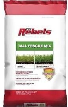 Picture of REBEL TALL FESCUE 20 LB