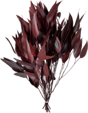 Picture of Vickerman 18" Red Weeping Willow Eucalyptus - 5-6 oz Per Pack - Red Preserved Foliage Floral Decor - Burgundy Fall Decor - Natural Botanicals - Weeping Willow