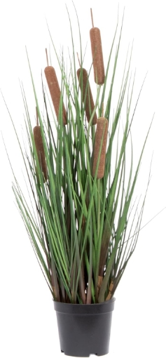Picture of Vickerman 24" Everyday Artificial Potted Green Straight Grass and Cattails with Black Plastic Pot - Faux Grass Plant Decor - Home Or Office Indoor Greenery Accent