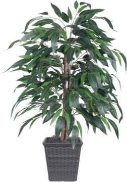 Picture of Vickerman 4' Artificial Mango Bush, Comes in a Decorative Gray Square Plastic Basket
